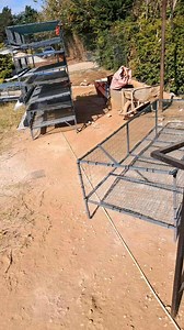 #poultryfarming #poultryequipment #Zambia #Botswana #Malawi #drcongo - Get a Quote today! 0971148151,0972228721 | Lilayi Import and Agro Consultants