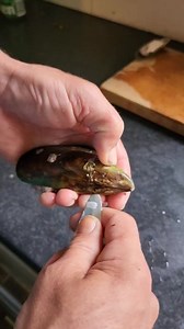 12K views · 526 reactions | Here's a short vid about how i like to garlic butter the mussels | Muddy Feet | Facebook