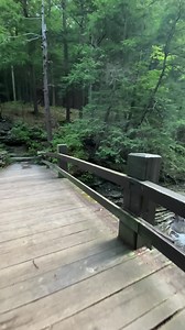 Walk With Me: Join me on this enchanting walk along (and over) beautiful Stony Brook in Dansville, NY. The gorge here at Stony Brook State Park is a wondrous trek through nature here in the Finger Lakes Region—and soon, all this green will transition to the yellow and orange hues of autumn. | John Kucko Digital