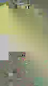 DOJO Dragon on Reels