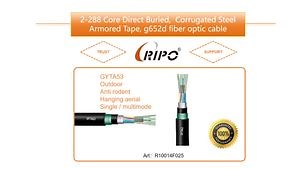 [Hot Item] 2-288 Core Direct Buried, Corrugated Steel Armored Tape, G652D Fiber Optic Cable
