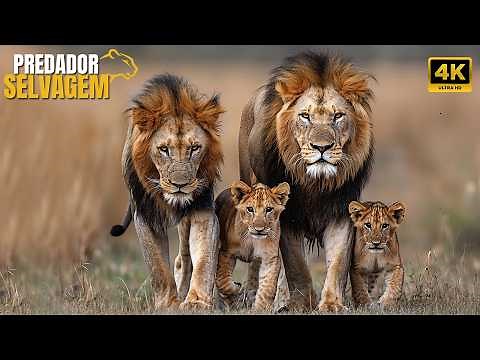 ANIMAL KINGDOM | Exploring African Wildlife and Nature Safaris | COMPLETE DOCUMENTARY