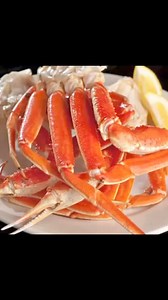 The Chowder House Restaurant - Zephyrhills on Reels