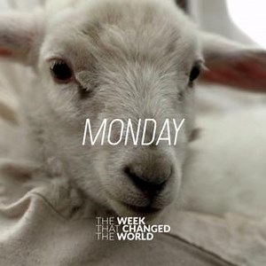 1.5K views · 42 reactions | Today is Monday of the passion week. God selects His only Son to be sacrificed for the sins of the world. The theme for today is "the Lamb has been selected." | Sherwood Church | Facebook