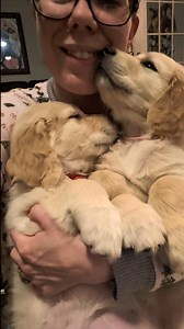 Proof that the best Saturday nights involve comfy pajamas and fuzzy puppies 🥹❤️🩷 | SW Retrievers