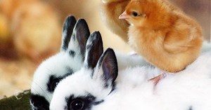 When is #Easter Sunday? Why does it change every year?