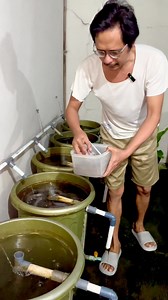 12K views · 174 reactions | Saatnya kasih makan malam ikan lele. | Totok Pujiarto | Facebook