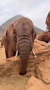 33K views · 2.2K reactions | This is classic Kainuk: She arrives late...