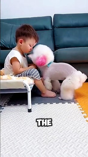 Sweet Dog Comforts a Crying Boy 😢🐶❤️