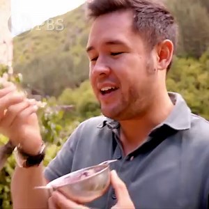 16K views | On the next Food - Delicious Science: Explore how the marriage between chemistry and biology is the root of all the sensations, tastes and flavors that we enjoy in our food. Tune in tonight at 10pm on #ninePBS. | Nine PBS | Facebook