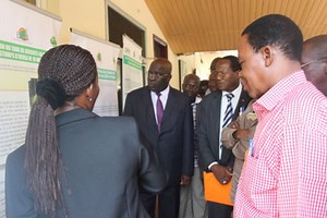 Recherche agricole: Le Firca restitue 11 projets aux acteurs de la filière hévéa