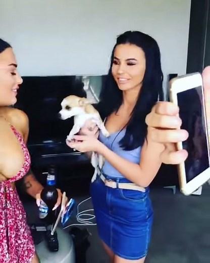 Beautiful girl kissing a dog and excitement