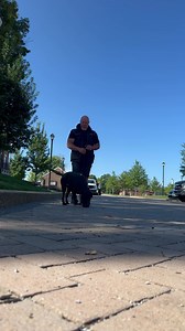 35 reactions · 4 comments | Raven, Beginning back chaining in...