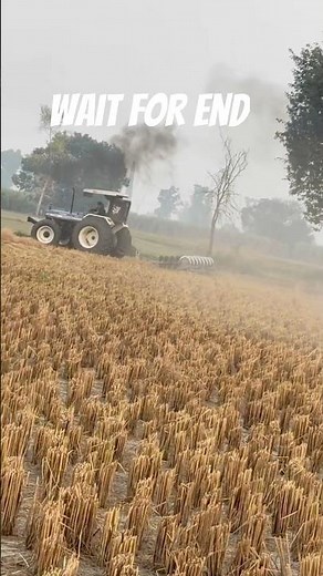 Harrow part-2 #spongebob