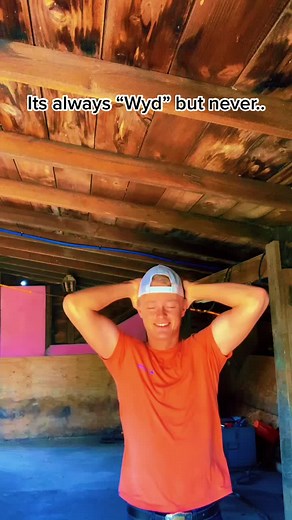 why am i organize what the heck