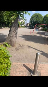 Mingaw kayo oi #japanpark | Macua Joey Albarracin