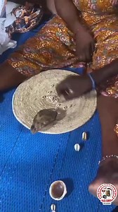 22K views · 558 reactions | Every Itadogun in Oyo Orisa devotees cast Orisa Dida for the town. Today has been the turn of Oyá devotees in the Oke Onira shrine. Asa Orisa Alaafin Oyo | Àsà Òrìsà Aláàfin Òyó Èsìn Òrìsà Ìbílè | Facebook