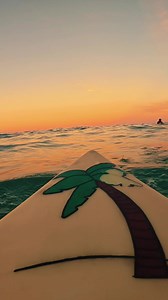 Burleigh Beach Sunset Surfing Aesthetic