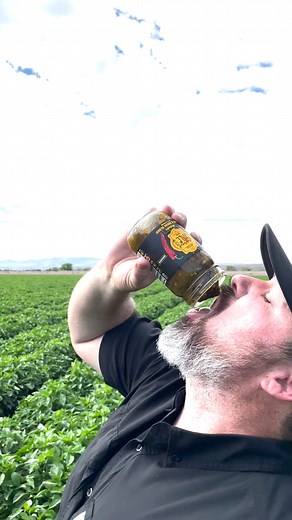 Hatch Green Chile season has started! Why are we called Fresh Chile? Here's why we have the highest-quality sauces & salsas in America. 🇺🇸 | Fresh Chile