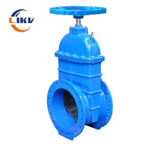 [Hot Item] Mss Sp-70 Class 250 OS Y Cast Iron Gate Valve for HVAC