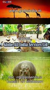 To experience the wildlife,stay in the slopes of nature, contact us! | Globe India | Facebook