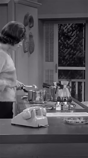 Nothing But Classic on Instagram: "Whee! The Dick Van Dyke Show (1961-1966) Season 1, Episode 14: Buddy, Can You Spare a Job? #thedickvandykeshow #1960s #60s"