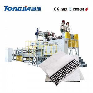 [Hot Item] PE Plastic 3D Composite Drainage Net Making Extrusion Machine