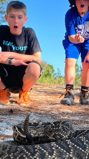 BEAUTIFUL RATTLESNAKE ON THE TRAIL! #reptile #reptiles #reptilelover #wildlife #nature #summer #snakesofinstagram #snake #reptilesofinstagram #snakes #naturekids #bite #crotalus #animal #herping #wildlifephotography #rattlesnake #laughandlearn #animallovers #givereptilesachance #reptilerescue #wildliferescue #summerfun | Forgotten Friend Reptile Sanctuary