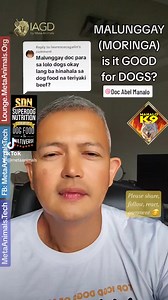 9.7K views · 286 reactions | MALUNGGAY (MORINGA) IS IT GOOD FOR DOGS? Doc Abel Manalo #dogs #pets #vet #veterinarian #moringa #malunggay #moringafordogs #malunggayfordogs | Doc Abel Manalo | Facebook