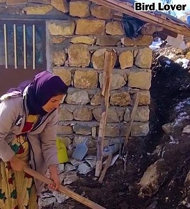 Mother’s Dream Takes Shape 🪨🔥 | Zari’s Stone Kitchen Project Begins | Bird Lover