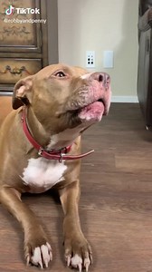 Hmm...what’s for dinner in your house tonight? Need ideas... | Block Paper Scissors | Facebook