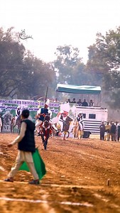 Malik Hamid Mahmood Tiwana #culture #punjab #photography #equestrian #horseriders #videography #reelitfeelit #instagood #foryou #igaddict | Imran Shahid