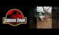 Mix of 2 videos from youtube : Chicky Dino doing the daa adaaaa