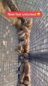 367K views · 628 reactions | How do I unsee | Geographical Beauty | Facebook