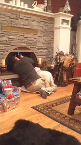 40K views · 3.1K reactions | Piper heard a strange noise in the fire place and alerted us all—sure enough Papa discovered a nest of squirrels and he was about to light a fire—well done Piper, Security Detail hard at work ❤️ #funnydogsofinstagram #westhighlandterrier # #westies #moderndog #doghumor #dogsandpals #dogsofinstagram #dogsofinstagram #lovemydog #westiesofinstagram | The Piper Chronicles | Facebook