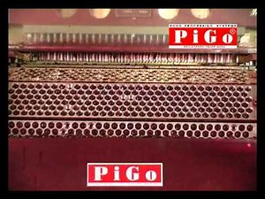 PIGO Pitting Machine - Cherries - www.pigo.it