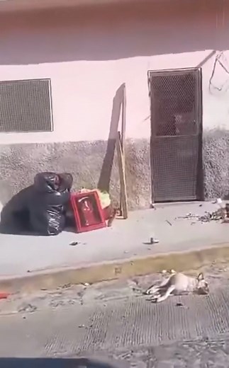 20K views · 191 reactions | Mujer es agr3d1s@y desalojada por un...