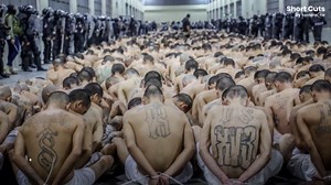 Hundreds of US migrants transferred to El Salvador's mega-prison, Cecot