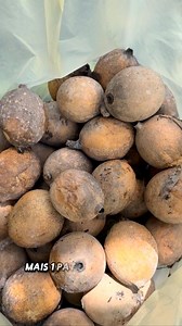 29K views · 13K reactions | Jenipapo (Genipa americana), uma árvore nativa, amplamente distribuída pelo Brasil, encontrada na Amazônia, Mata Atlântica e também no Cerrado. Bastante utilizada na culinária (em licores, doces, sucos) e para fins medicinais e culturais. A polpa do fruto verde é usada para pintura corporal por diversos povos originários. Árvore que atinge 14 metros, mas em terrenos férteis pode chegar até 20 metros de altura. | Árvores e Rios | Facebook