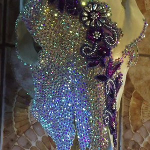 1.1K views · 124 reactions | Corriente roping steer done up a bit glamorous 珞 | Jack It Up Designs | Facebook