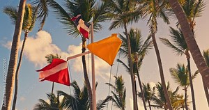 Vivid flags flutter under a warm sky, sea, beach surrounded by tall tropical palm trees Yellow flag, Dominican Republic, Barotseland