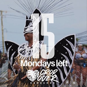 1.3K views · 12 reactions | 15 Mondays until Crop Over begins!  July 6 - August 5, 2024 #CropOver2024 #50thAnniversary | Barbados Crop Over Festival | Facebook