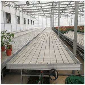 [Hot Item] New Premium Growing Tray 4X8 Flood Trays Ebb and Flow System Rolling Bench Grow Tables