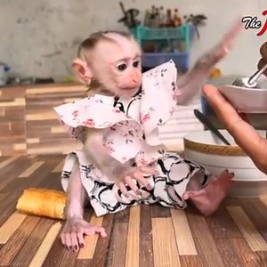 Stun Lil Queen Joyee Nicely Sit Talking With Mom #RE | The Judy Family