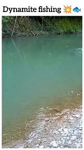 285K views · 3.8K reactions | Dynamite fishing  watch till the end  | Rohan | Facebook