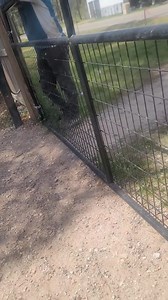 2.5K views · 41 reactions | A man stopped at my front door to pick up...