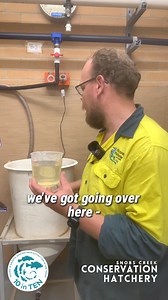 11K views · 58 reactions | From plankton to pellets to prawns – our...