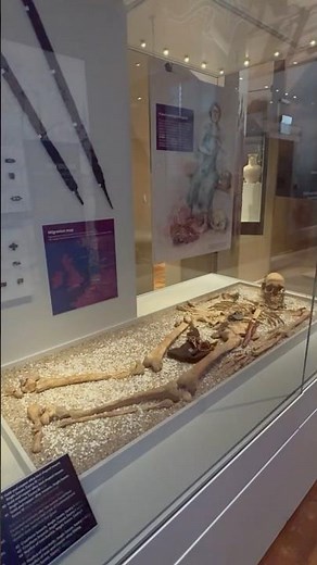 Maidstone Museum: Maidstone:Kent: England 🇬🇧 UK