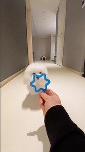 Yes, I am Ara🐻‍❄️, the star of the 200 million view Woah video. (Original) #woah #woahchallenge #...