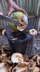 13K views · 22 reactions | Coconut rotten #coconut#skills | Jefri Yansah | Facebook